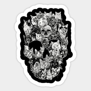 Cat Skull Drawings Sticker